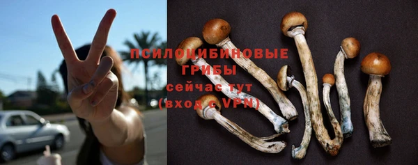 соль ск Михайловск
