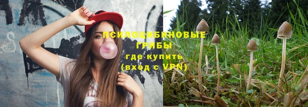 ALPHA PVP Медногорск