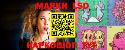 гашик Донской