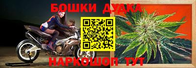 гашик Донской