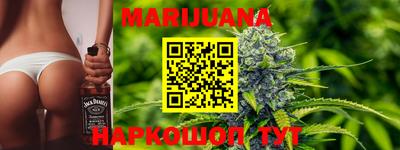 гашик Донской