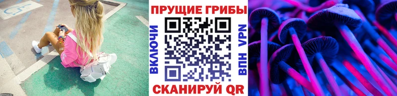 блэк спрут онион  купить закладку  Тавда  Псилоцибиновые грибы мицелий 